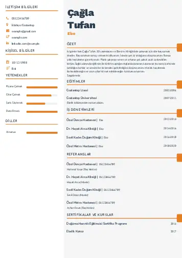 Ebe Cv Örnekleri cv indir